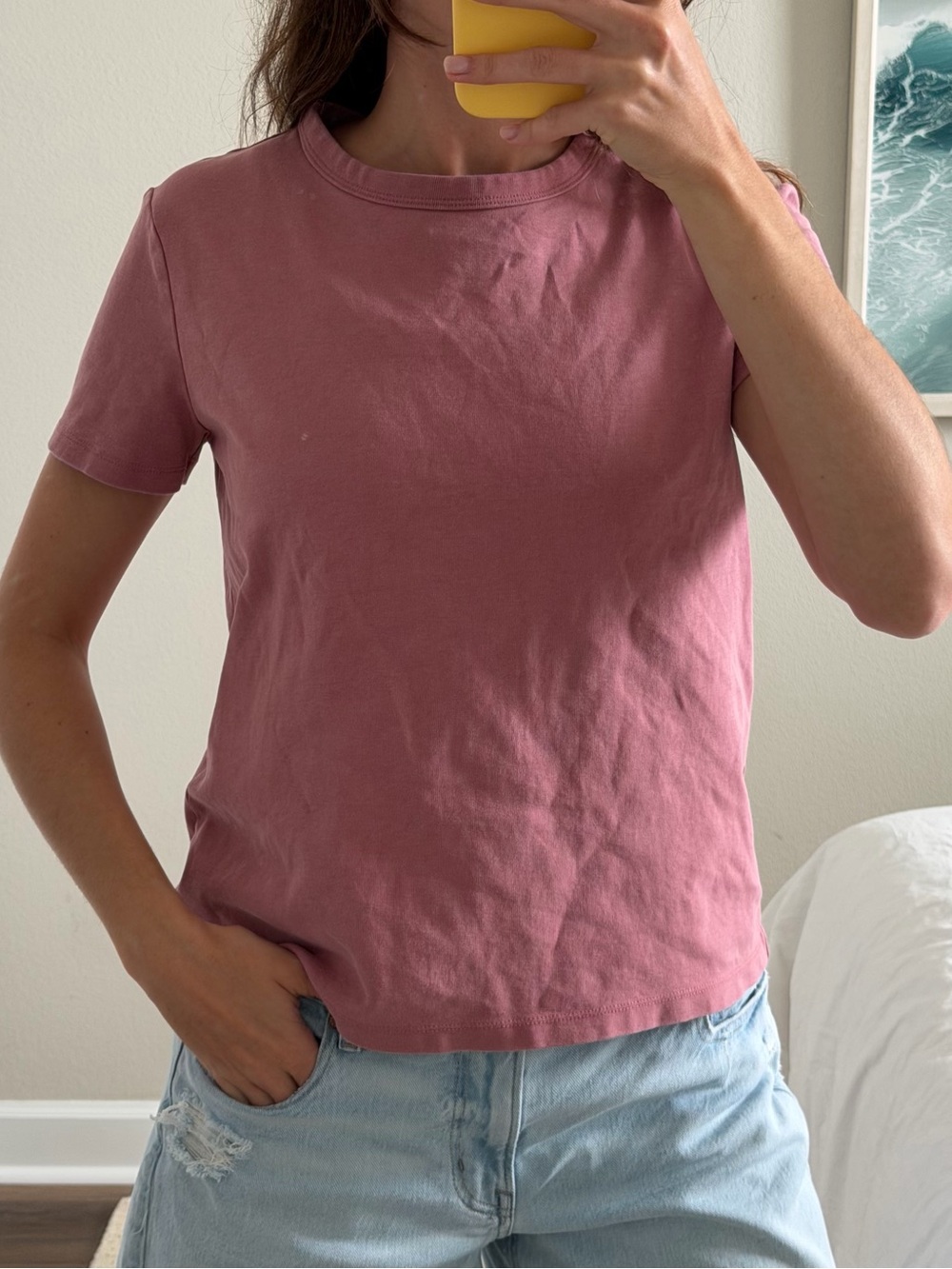 Zara Dusty Rose Short Sleeve Crewneck Tee